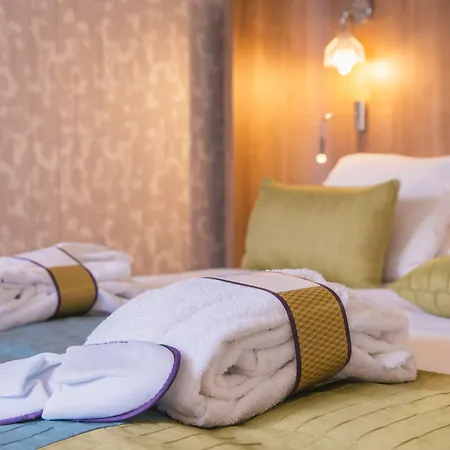 酒店 Mercure Centre De Congres 4*