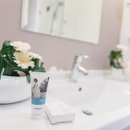 Mercure Centre De Congrès