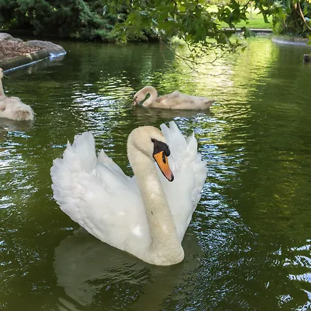Mercure Centre De Congrès Hotel 4*