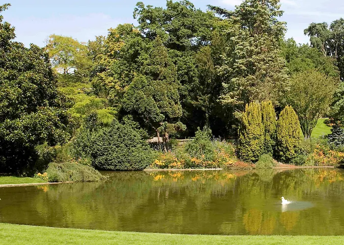 Mercure Centre De Congres فندق أنجير