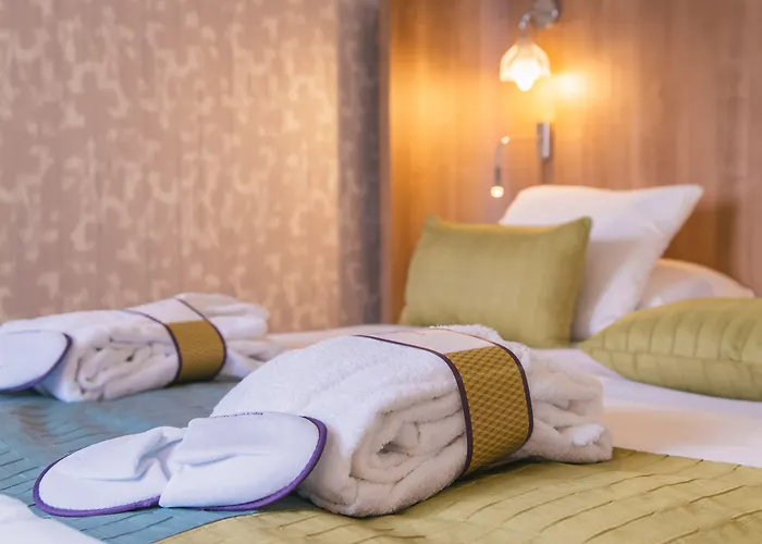 فندق Mercure Centre De Congres 4*